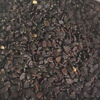 Basil Seed (তোকমা দানা)