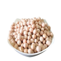 Dubli Boot (ডাবলি বুট)