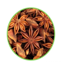 Star Flower (তারা মসলা)