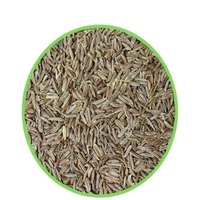 Cumin (জিরা)