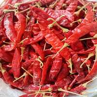 Dried Chili (শুঁকনো মরিচ)